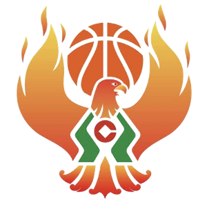 https://img.qcygkj.com/img/basketball/team/09b49d34027e0409a4de3295f8c71a2d.png