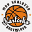 https://img.qcygkj.com/img/basketball/team/0c2f73d2ab7041cf90029a20deff7f17.gif