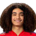 https://img.qcygkj.com/img/football/player/87359ed9061cfd73513d827263deebcd.png