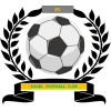 https://img.qcygkj.com/img/football/team/6dc6d59af2f0962597b412473a6708ee.png